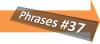 Bild P37 - Tourist - Basic Phrases Bild P37 - Tourist - Basic Phrases